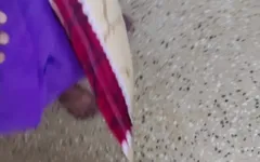 Matrigna scopa con una persona che fornisce cibo