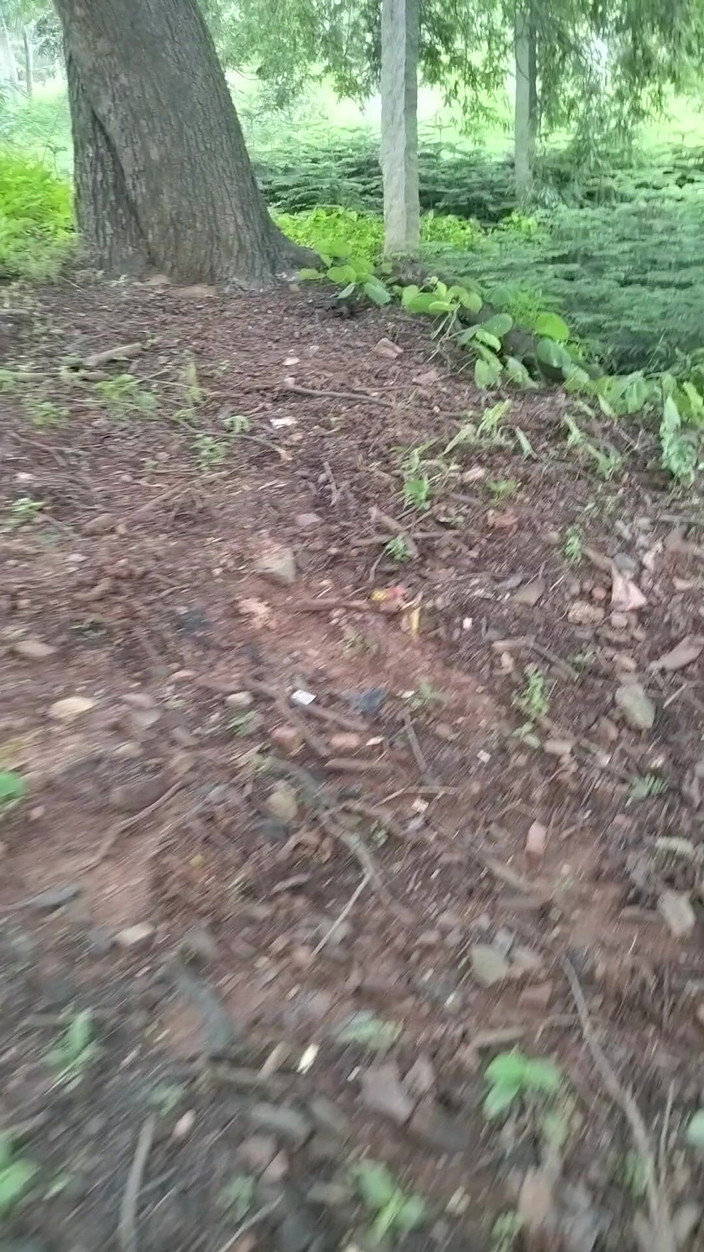 Mg3947731: 丈夫妻子完整的德希性感视频