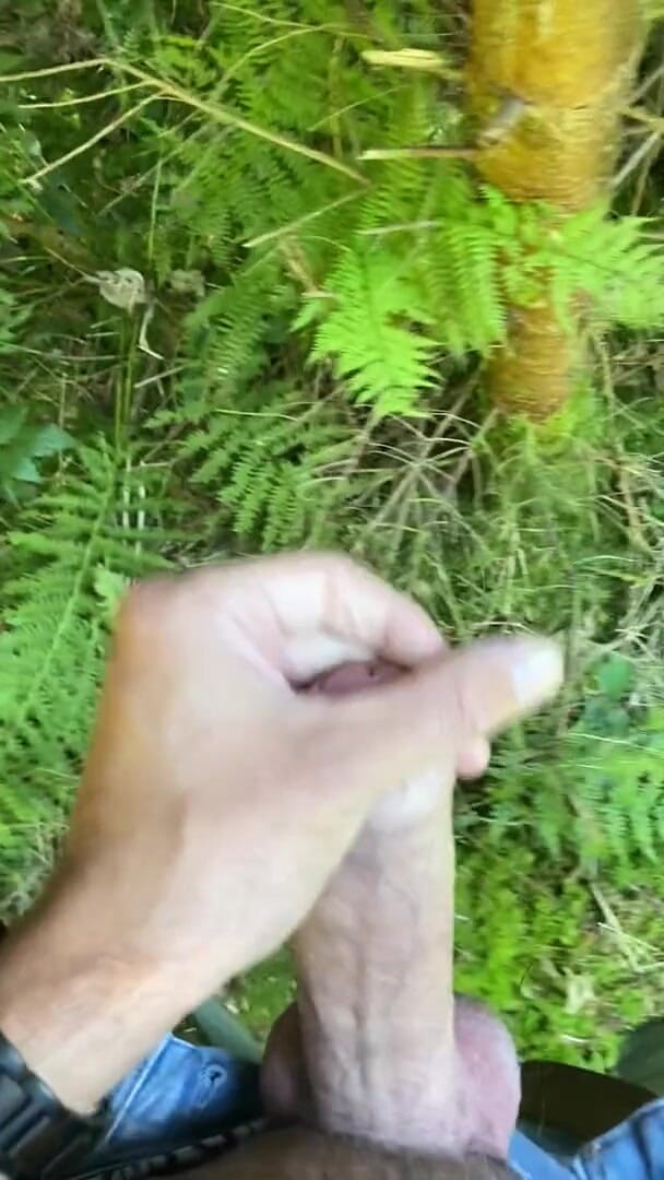 Zaharia: Wald-wanki 2