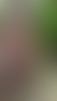 Naked Dick in the Vineyard