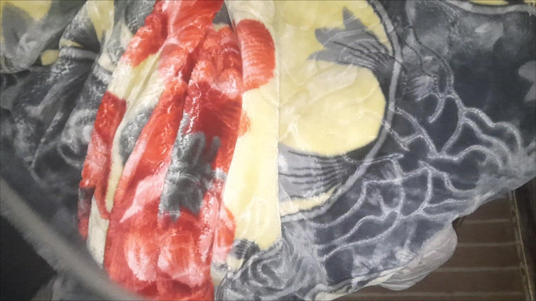 buttllover: Scopata calda sorellastra desi in legge figa stretta