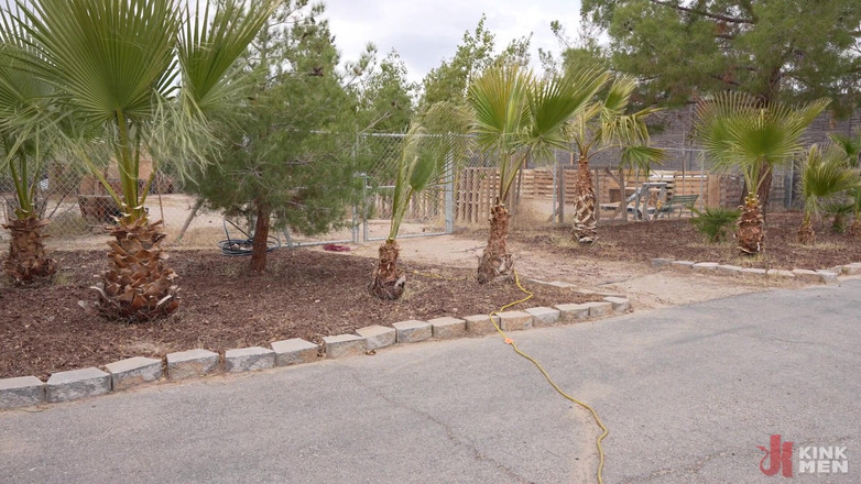 Taken rough: Fick die schweine