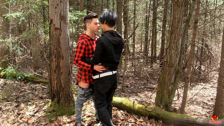 Phoenixxx: キャビンの木材はダニエルの隅々まで使っている