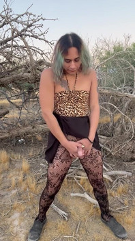 Desert Fun