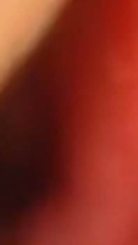 Inside Me the Journey of the Orange