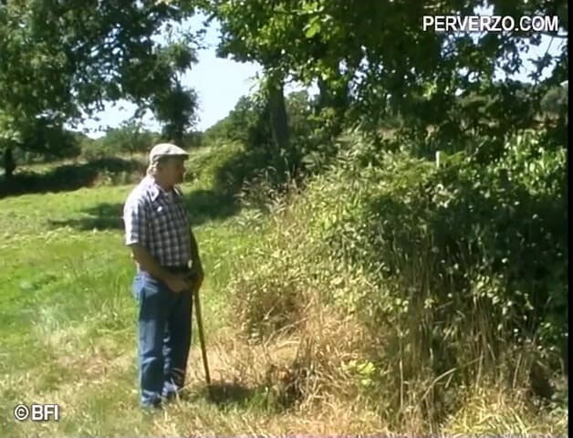 Experienced Men in Control: Trio nel cornfield