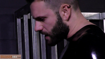 BullDogXXX: BullDogXXX - stalloni di gomma