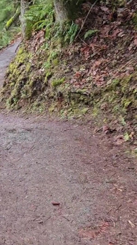 Escursione E Piscio in Un Giorno Di Pioggia