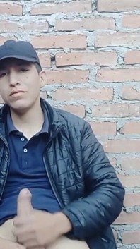 Милий хлопець гладить його член