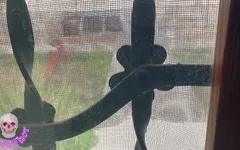The Delivery Man Helps Me and in Exchange I Fuck Him and Record It for My Husband to See