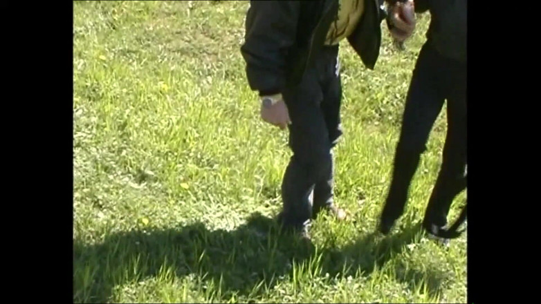 The Swingers & CO.: Фабиане все нравится