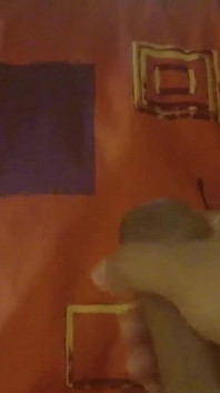 Trekant med en tantaly sexdocka och min hora