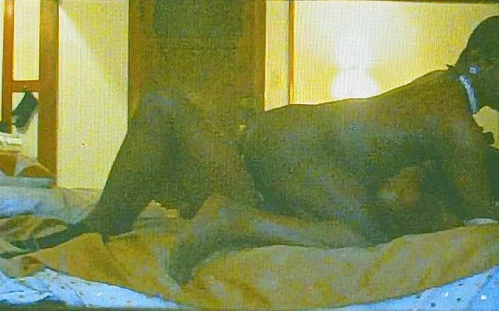 TS freaky MILF: Transsexual e bbc - jogo sujo falando