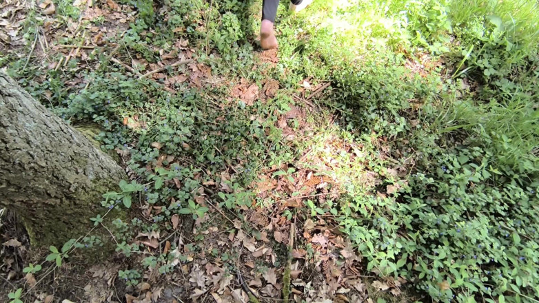 Bouncy Tits Action: Tits Happy Hour in the Woods