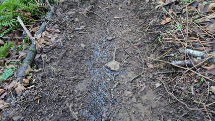 Nerdy_faery: Bazı çiş çiş şeyler