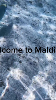 Magic Movie Welcome to Maldives