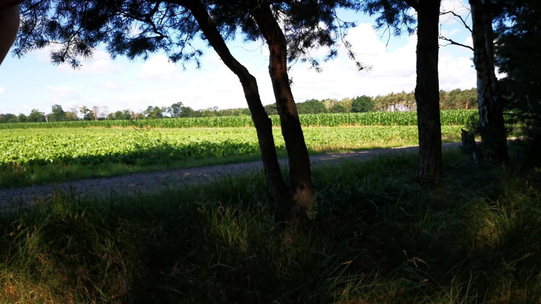 Bouncy Tits Action: Una dura schiavata delle tette nei boschi