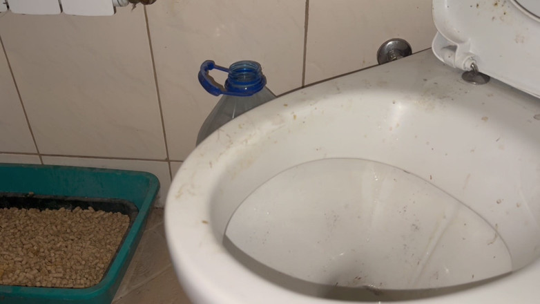 Elena917: Lambendo o chão sujo e o banheiro, mostrando a cabeça...
