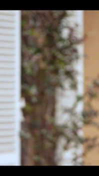 Swame Evi, Fransız Porno Gerçekliği