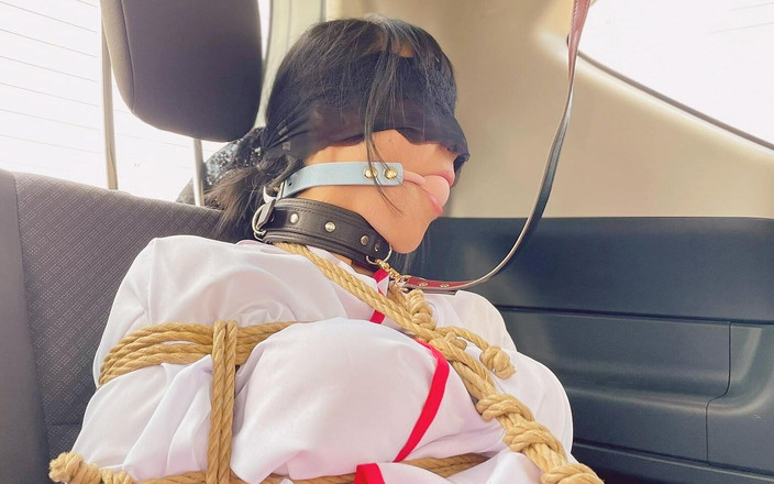 ushirosugatanomiki: 的巫女和愚蠢的驾驶