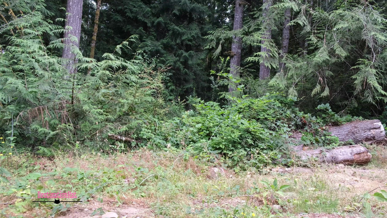 Destination Kat: Viele pinkeln pinkeln zusammenstellung