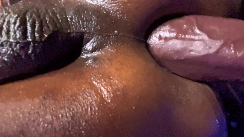 Ms300 Sarazia Exotic: Большой Черный И Сливочный, Часть 1