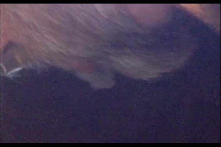 Random111zoig: Memok 24