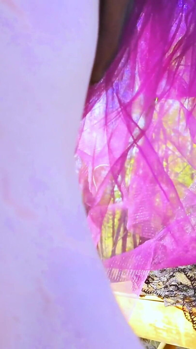 Lady Alice Compilation 06 Beauty and Sexuality (mesmerize Version) (Lady Alice studio)