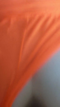 Hot Doggy # fyp #wife #amateur #sexy #sex #doggy #dick #pussy