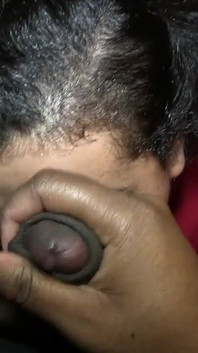 Pov thổi kèn