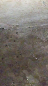 Cậu bé đồng tính Ấn Độ ngoài trời masterbate dương vật lớn