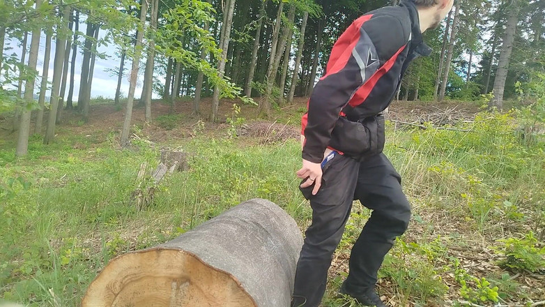 kickerscooter: Waldsprung