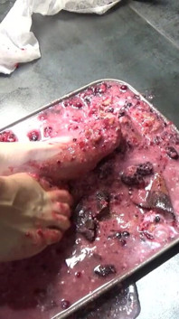 I Pee in Your Cake and Trample It with My Feet