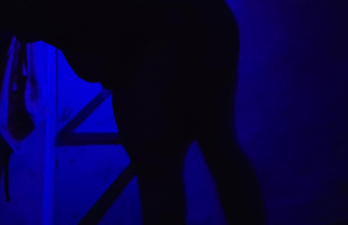 Busty Banuu: Seks xxx video desi kızlar