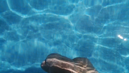 Monster_Meat_: A walk in the pool naked version
