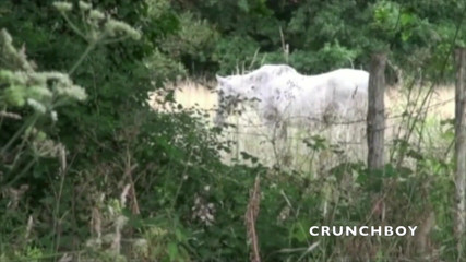 Crunch Boy: フランスのティンクは、屋外で車の中でまっすぐなディスクレットに犯さ