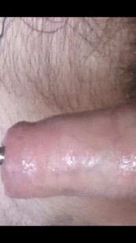 Sounding My Bear Cock