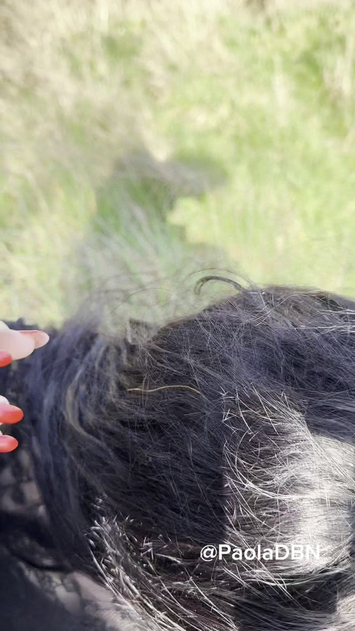 PaolaDbn: Exhib afară muie ejaculare