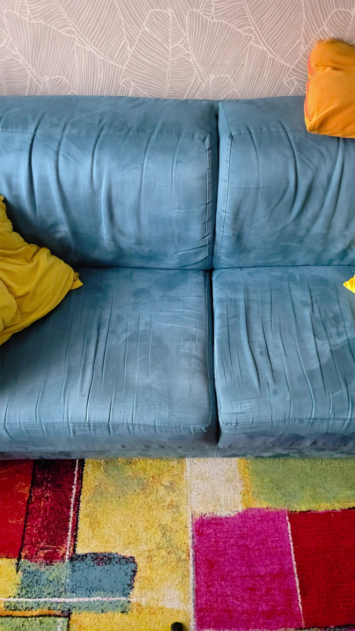 Ulysses the bear: ジム卒業後