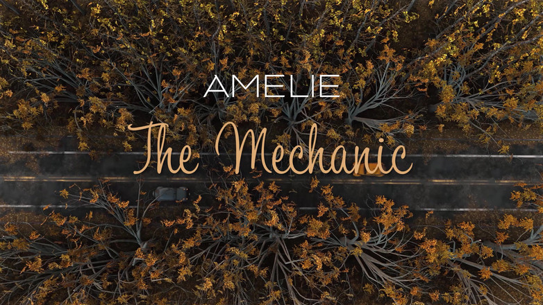 AmelieRMoreau: Amelie la mecánica