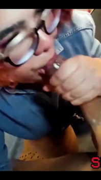 Vinny přinesl kukuřici z Festa Juniny - Casal Kabuloso