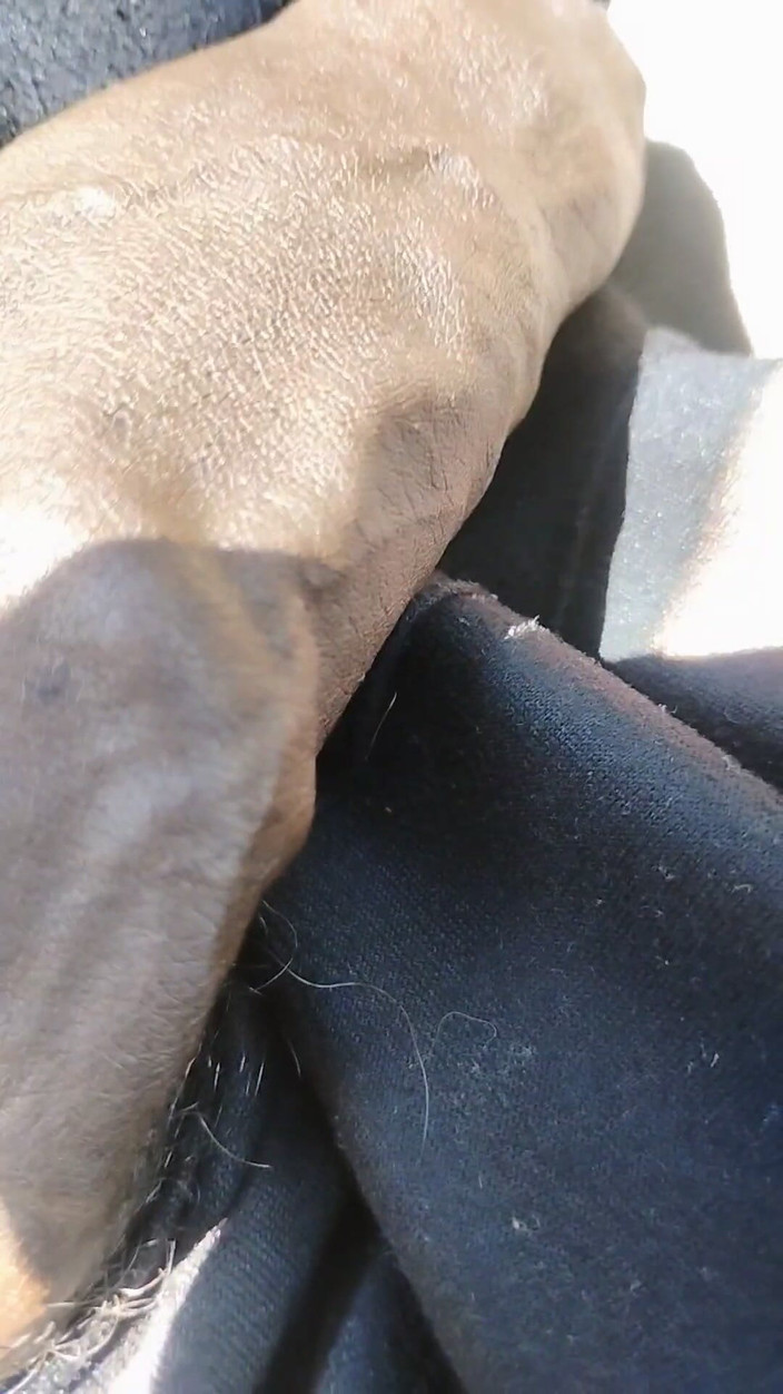 Chocolate Meat Stick: Chocolatemeatstick BBC Flashing
