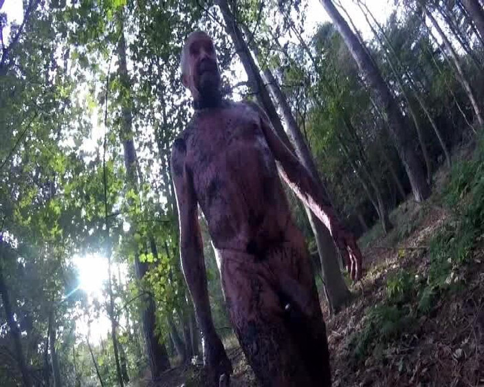 Andy: Partea 2 Perversă Ib the Woods