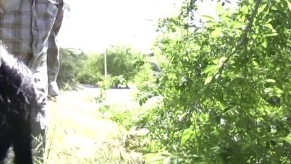 CBD Media Interracial: Busty ebony teen gets picked up sucked dick and fucked...