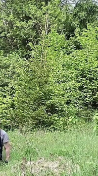 Masturbating Outside in the Woods Completely Naked, Huge Cumshot
