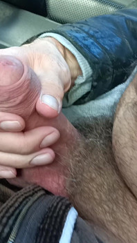 Velký neobřezaný pták cestovní parkoviště zblízka mrdka, kamarád sleduje a filmuje