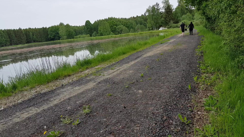 Femdom-Team-German: Herrdagen annorlunda: en speciell promenad