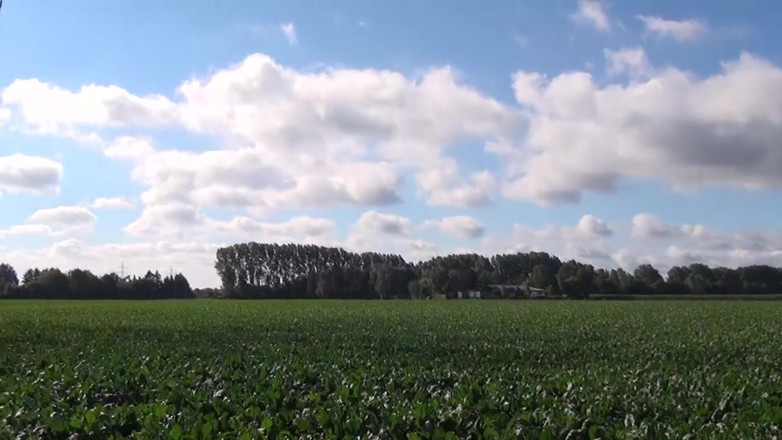 German Full Movies: Learn to Ride with the Horny Farmers on Their Farms...