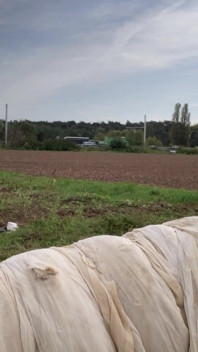 La Autopista Bennyk72 Demasiado Rápida Se Precipitó Hacia Abajo