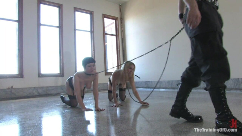The Training of O by Kink: Utbildningen av Calico, dag fyra